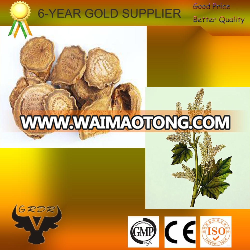 China Supply Rhubarb root Extract 98% Emodin powder