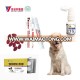 GMP best dewormer for dogs